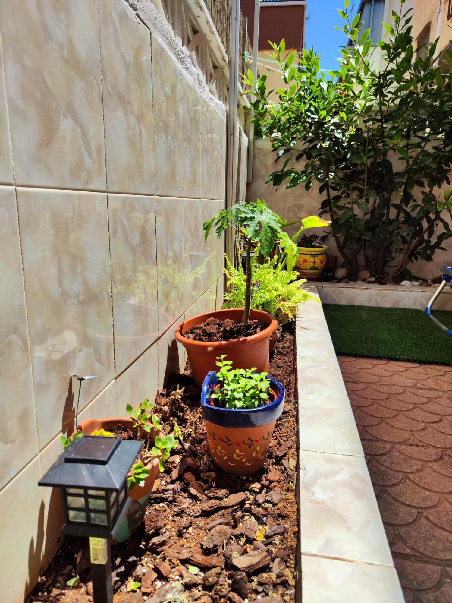 Alce Rincon Del Mar - Planta Baja Con Patio - A 100M Playa Morro De Gos Apartman Orpesa Kültér fotó